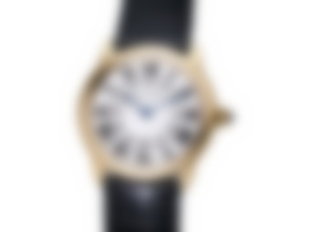 Blurred preview for a B&S PLUS exclusive watch