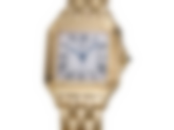 Blurred preview for a B&S PLUS exclusive watch
