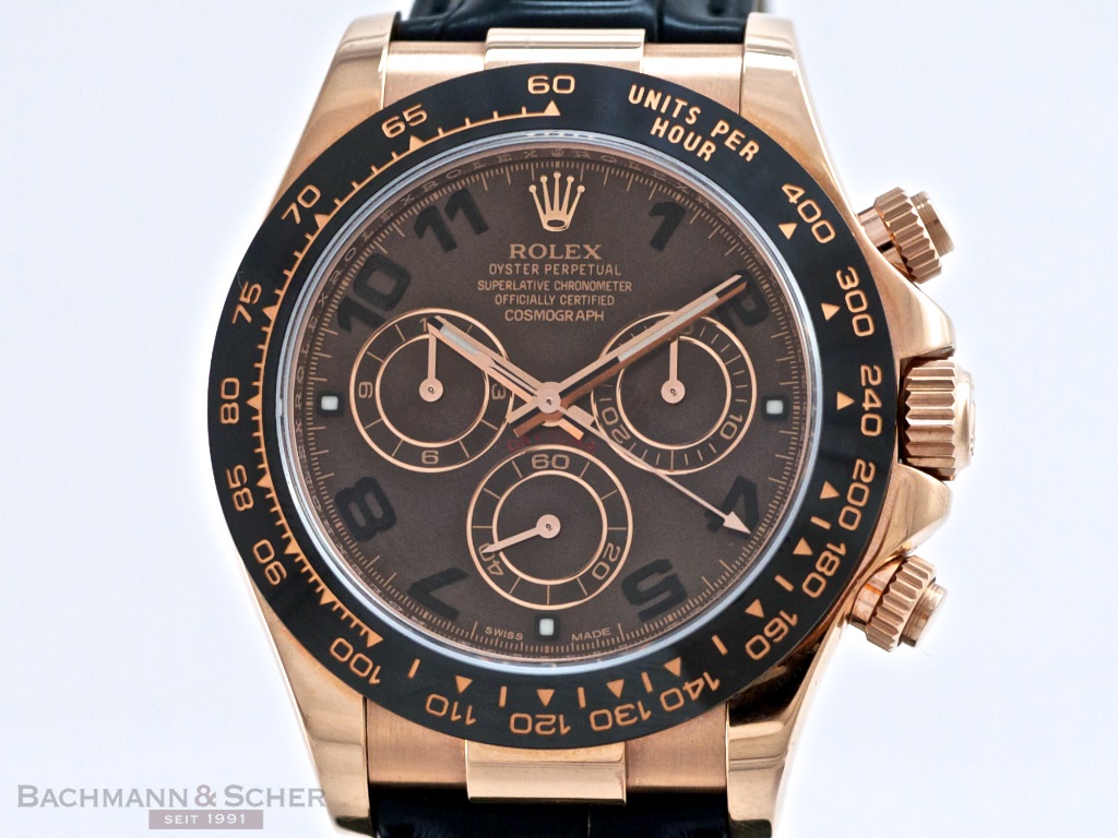 rolex daytona bronze